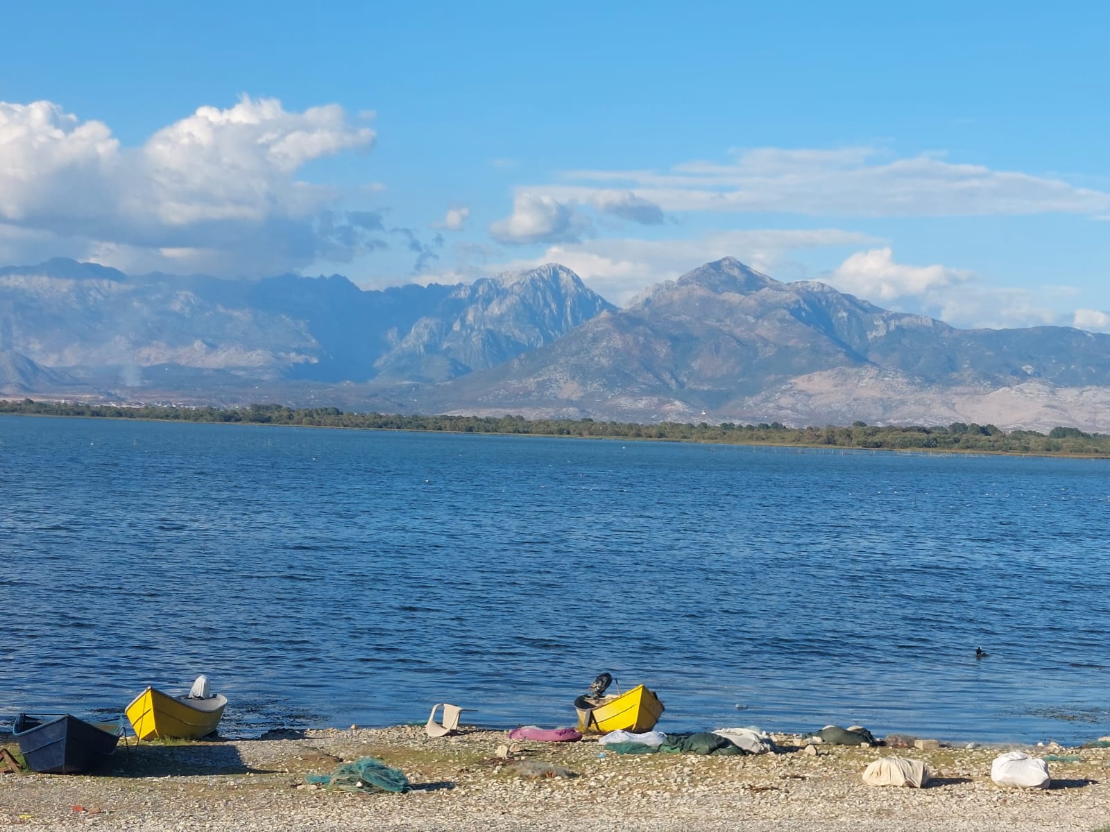 Read more about the article Albanien / Shkodra / 15.09.2026